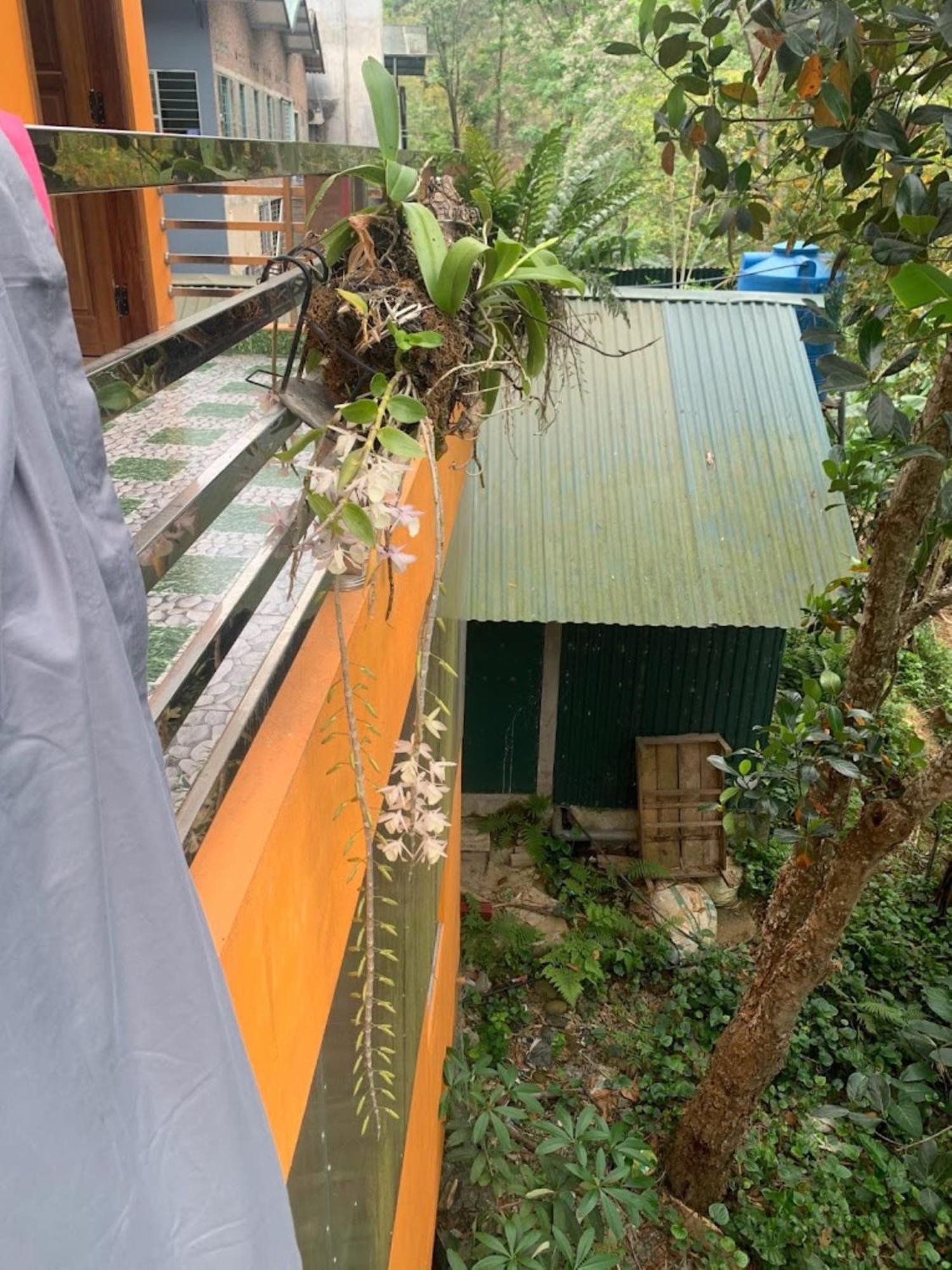 Bao Lac Nhu Quynh Hotel מראה חיצוני תמונה